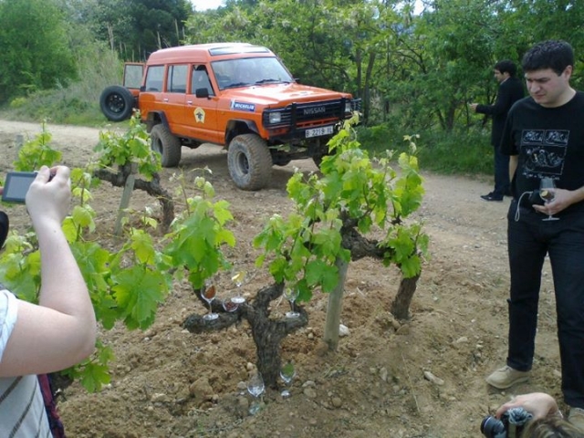  Passeggiando tra i vigneti 